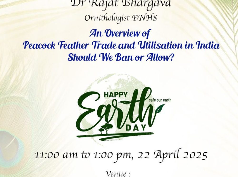 WhatsApp Image 2025-04-22 at 9.00.41 AM